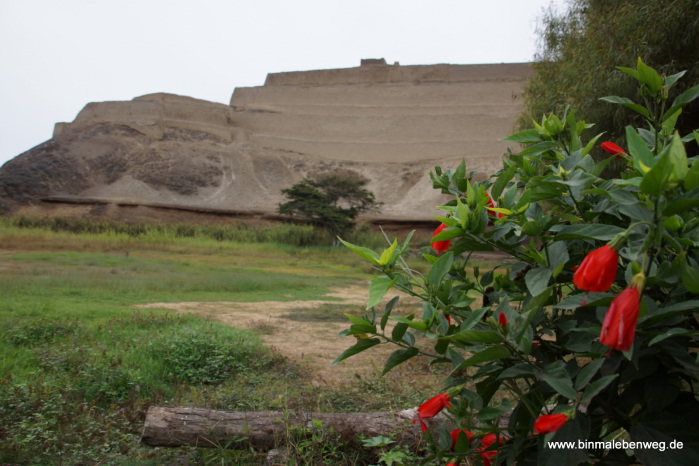 Bei Paramonga: Hinterlassenschaften der Chimu-Kultur.