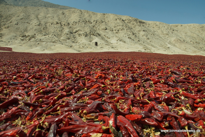 Chili: So wird er in den Anden getrocknet. (Binmalebenweg - Alle Rechte: Peter Belina)