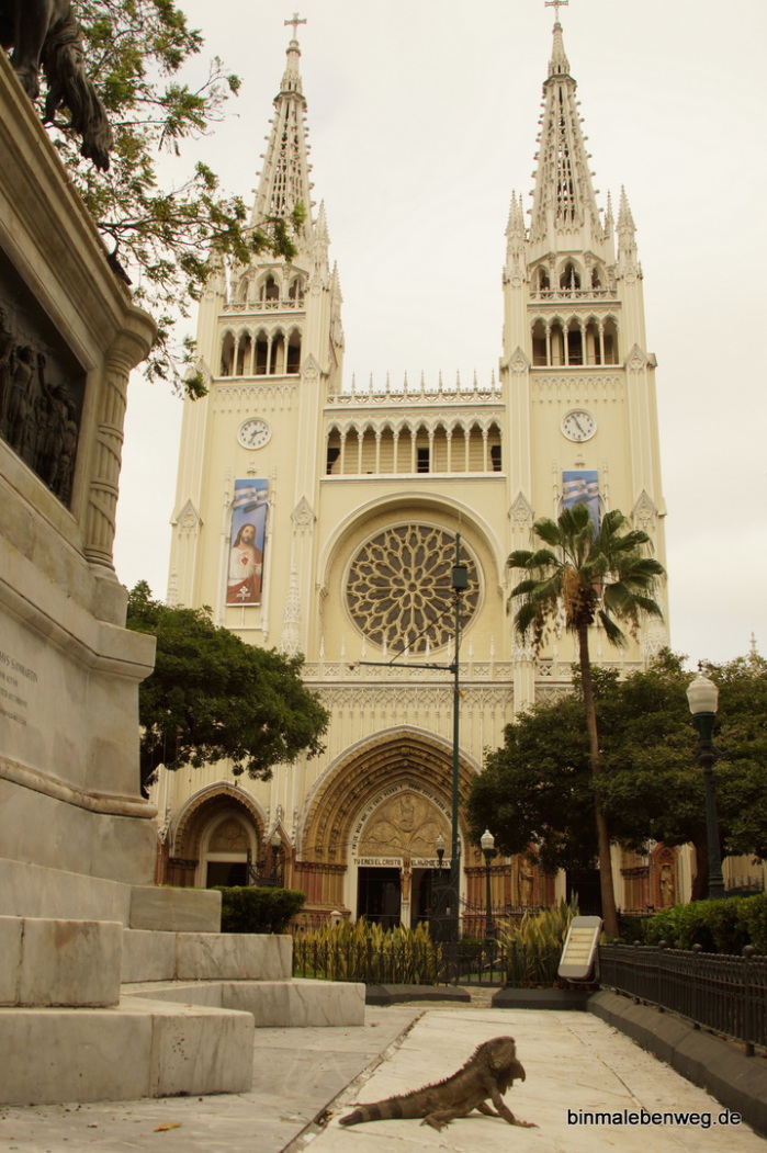Leguan vor dem Dom von Guayaquil