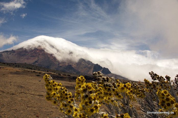 Chimborazo