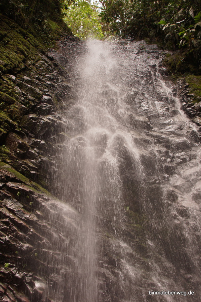 Tarabita y Santuario de Cascadas Mindo - binmalebenweg