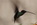 Mindo: Kolibri